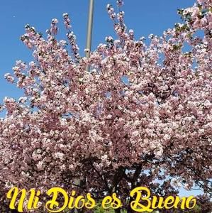 Meet your Posher, Alejandra